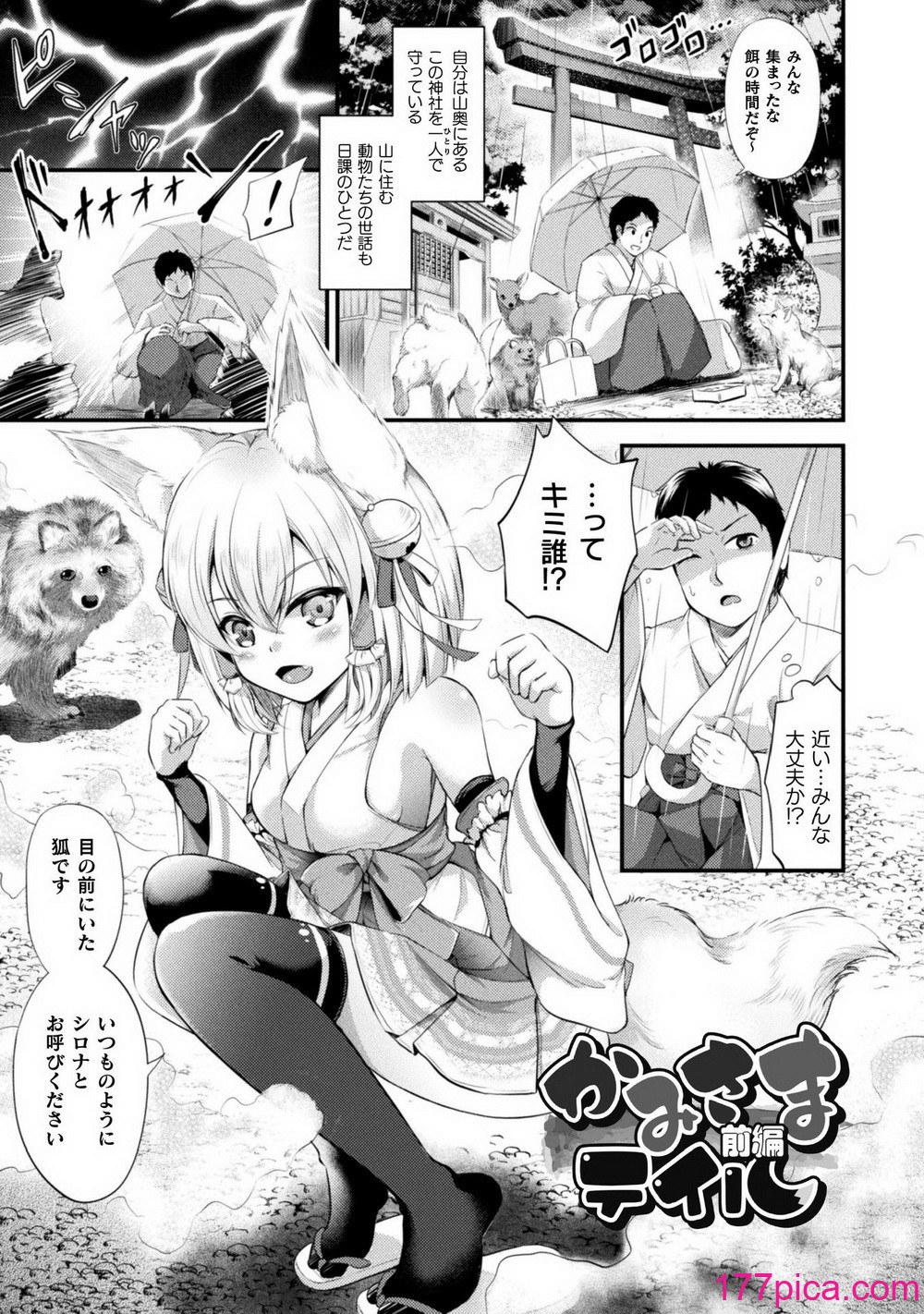 [皆瀬たまき] もふもふダイアリー～ケモ耳少女は愛されたい～ [DL版][206P]-第1章-图片5