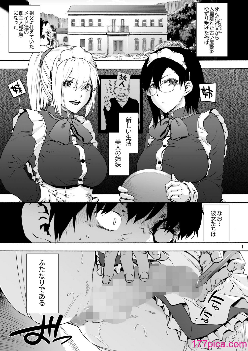 [音速うばぐるま (宇場義行)] 双奏鳴館2 ふたなりめいどさんたちはせいよくがつよい [DL版][38P]-第1章-图片3