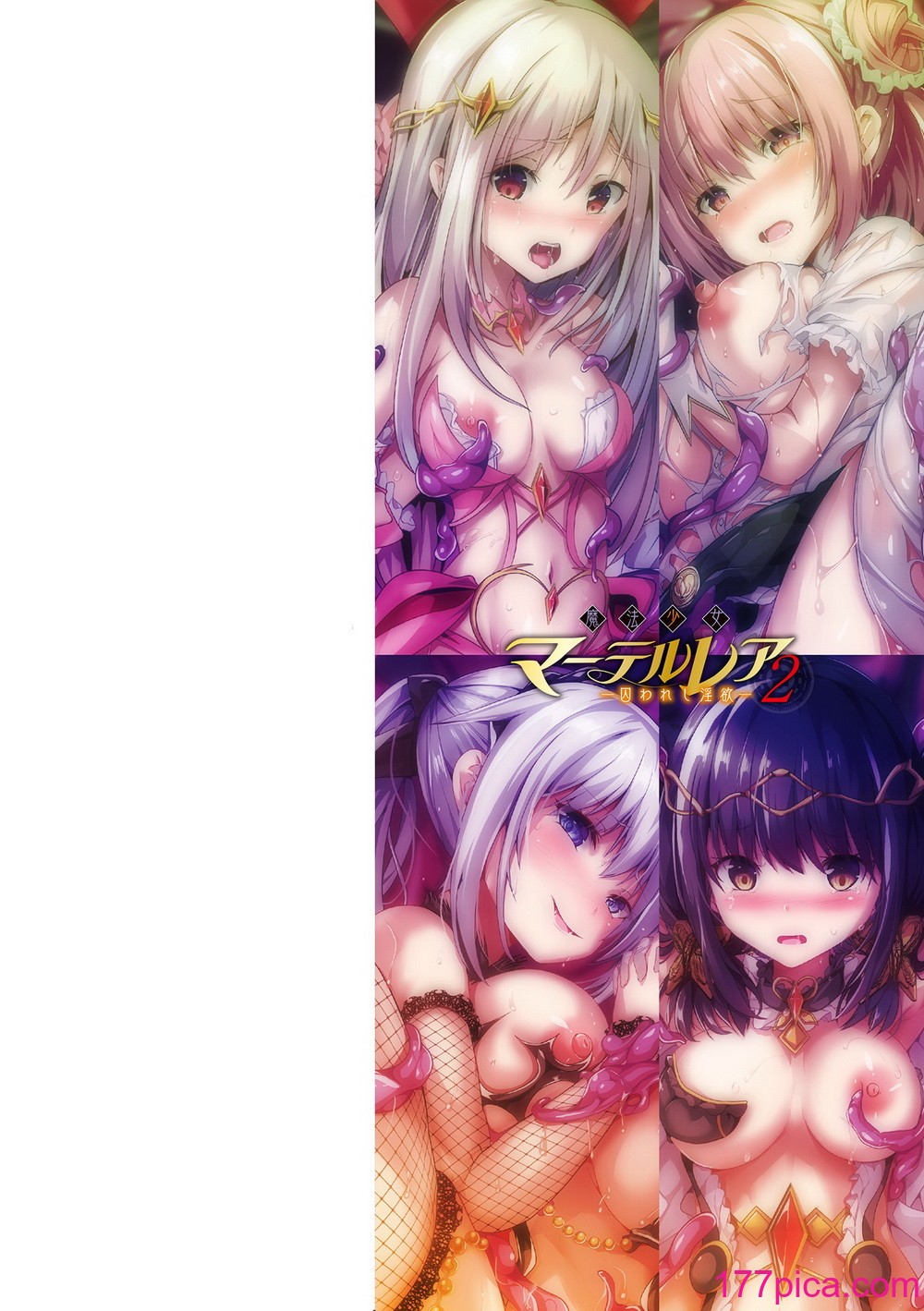 [すみすず] 魔法少女マーテルレア2 -囚われし淫欲- [中国翻訳] [DL版][209P]-第1章-图片2