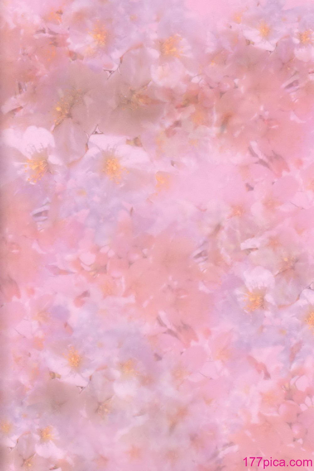 [ちぐはぐメトロノーム (すいと)] 二鼠藤を噛む (ラブライブ! 蓮ノ空女学院スクールアイドルクラブ) [虹之星汉化组][37P]-第1章-图片2