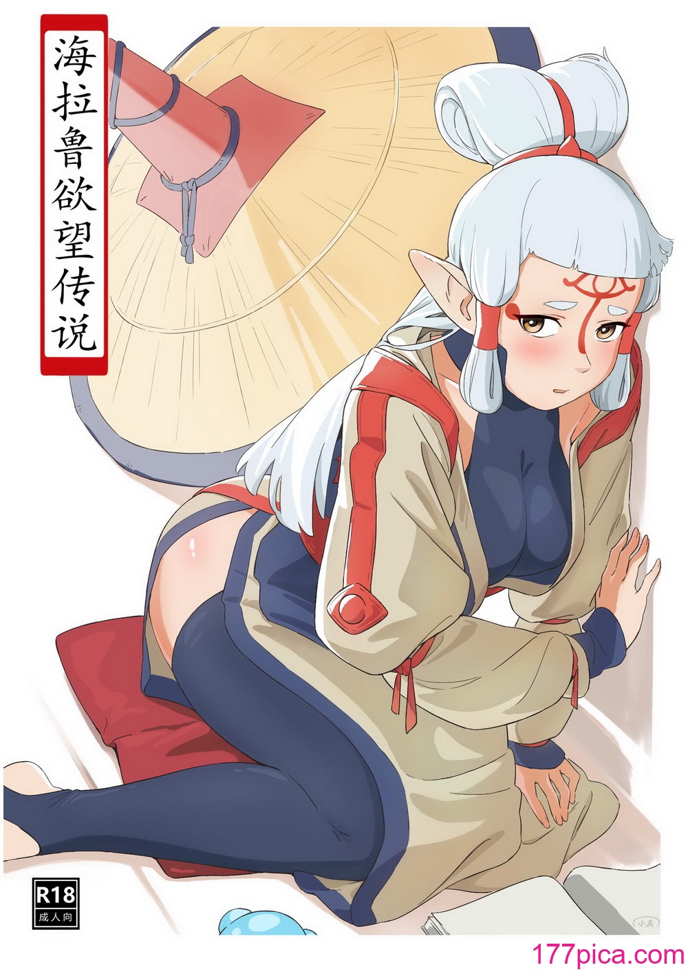 海拉鲁欲望传说[43P]-第1章-图片1