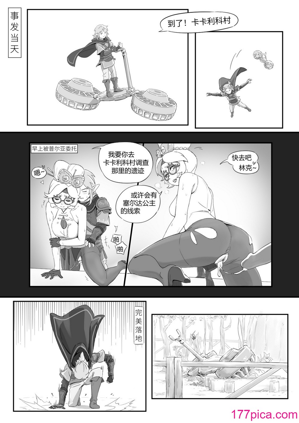 海拉鲁欲望传说[43P]-第1章-图片3