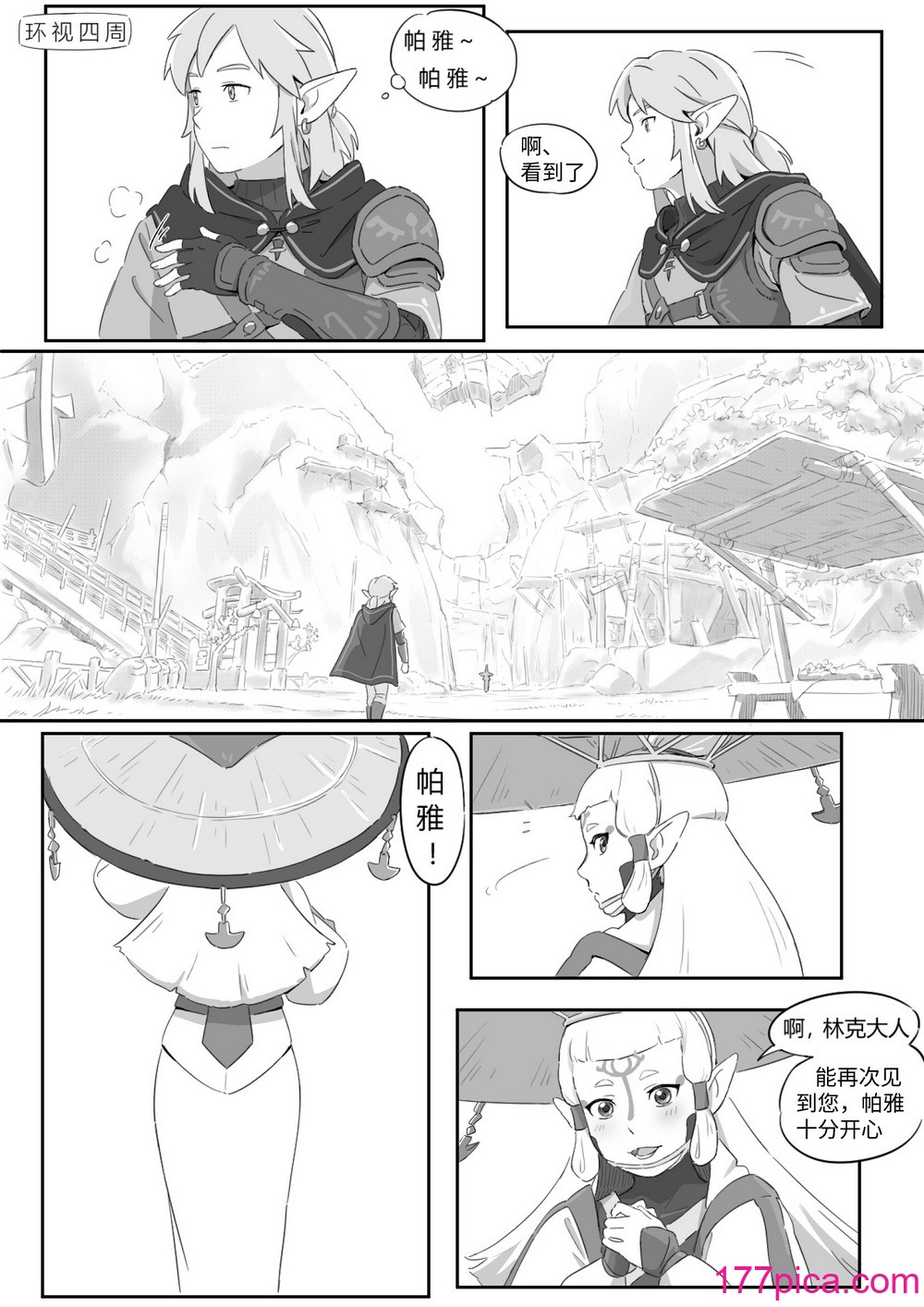 海拉鲁欲望传说[43P]-第1章-图片4