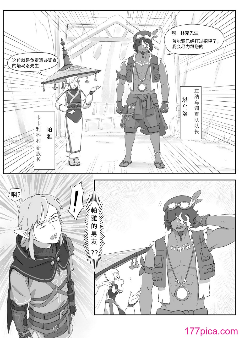 海拉鲁欲望传说[43P]-第1章-图片5