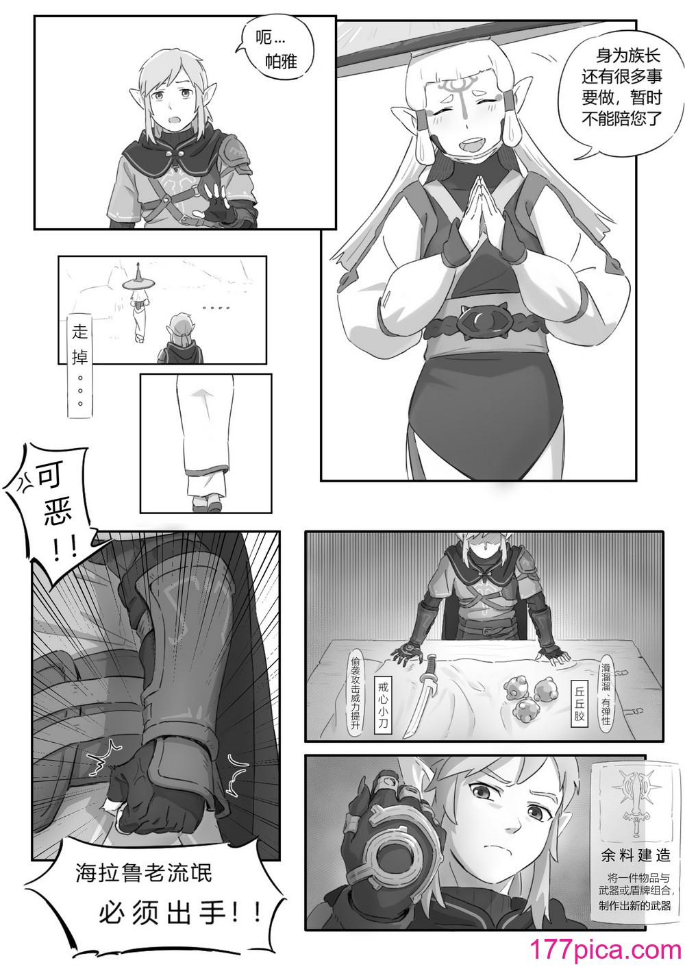 海拉鲁欲望传说[43P]-第1章-图片6