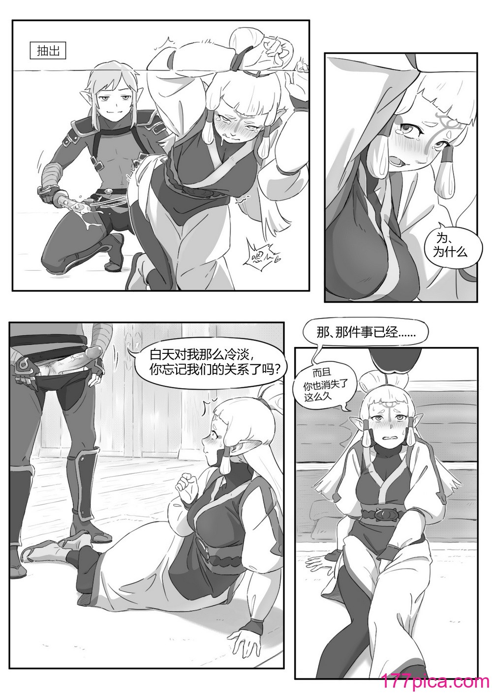 海拉鲁欲望传说[43P]-第1章-图片10