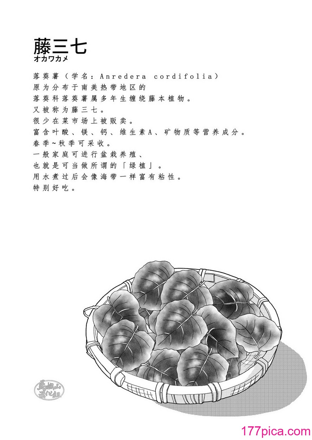 [自転車操業 (schwinn)] 自分で作って食べなさい。 [馬欄山漢化組] [Digital][42P]-第1章-图片4