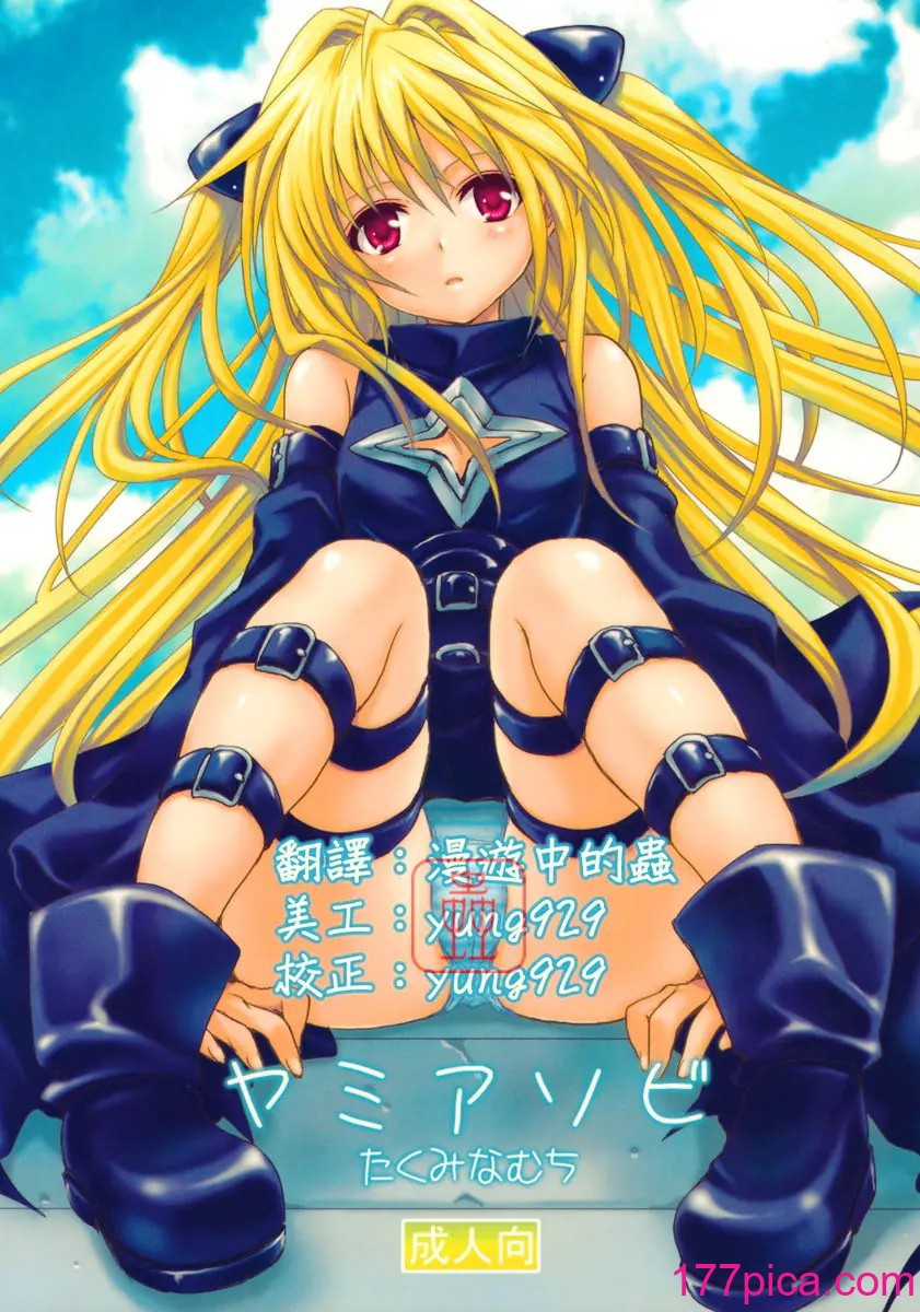 [漫遊中的蟲] (COMIC1☆3) [たくみなむち] ヤミアソビ (To LOVEる -とらぶる-)[45P]-第1章-图片1