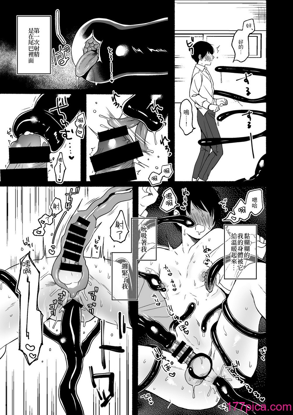 [散る国 (小中えみ)] 尻尾先輩、負けないで。｜尾巴前輩、不要認輸。 [夺命五头鲨个人机翻][47P]-第4章-图片4