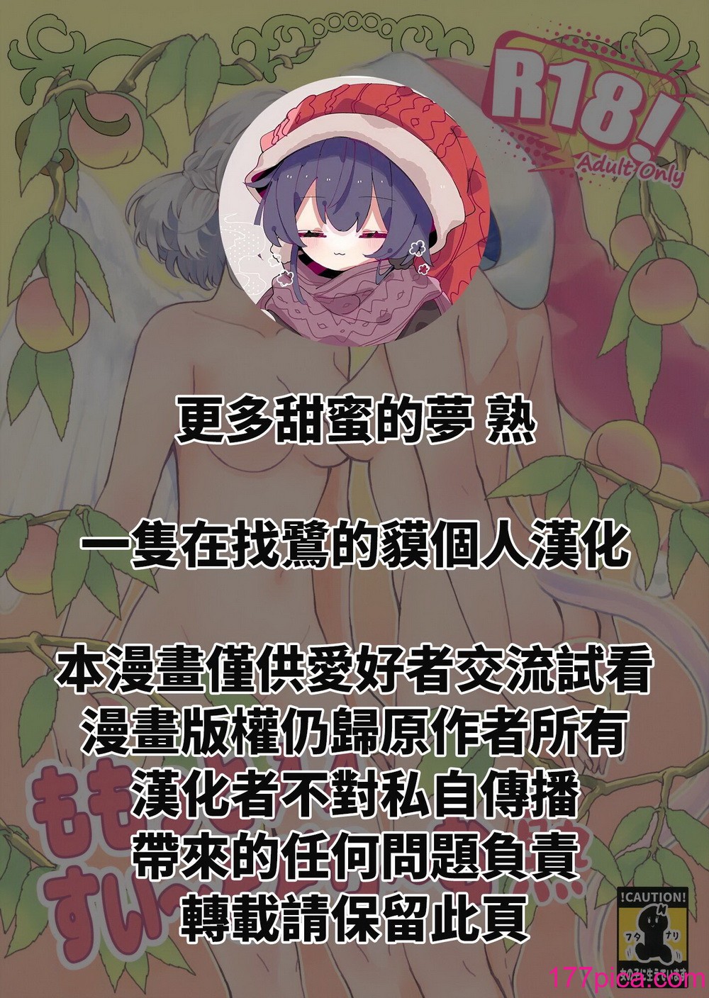 [軟泉社 (軟水)] ももっと↑↑すい～とどり～む 熟 (東方Project) [中国翻訳][43P]-第1章-图片2