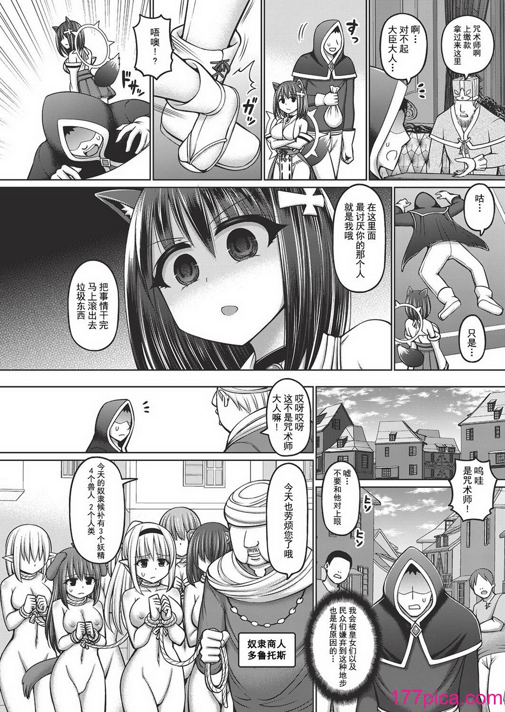[橋村青樹] 呪術師に転生したので皇女全員奴隷にしてみた[208P]-第1章-图片8