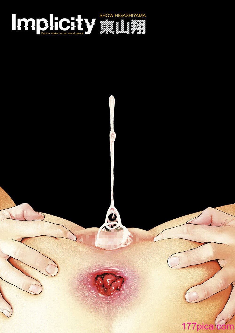 [東山翔] Implicity [中国翻訳] [DL版][227P]-第1章-图片3