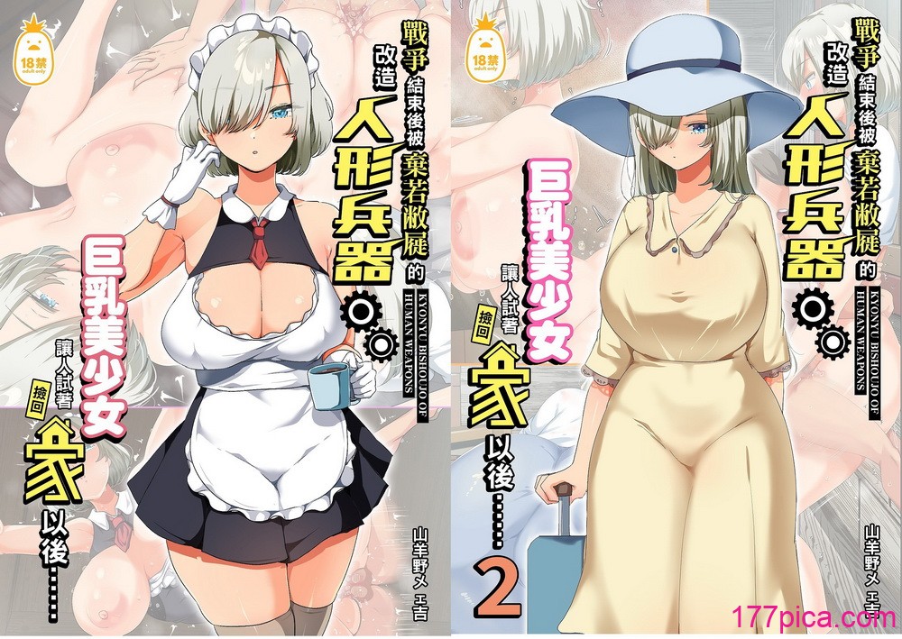 [オトナテイコク (YAC、山羊野メェ吉)]戦争が終わって用済みになった人間兵器の巨乳美少女を拾って家に持ち帰ってみたら…_戰爭結束後被棄若敝屣的改造人形兵器巨乳美少女讓人試著撿回家以後… 1~2[中国翻訳][無修正][238P]-第1章-图片1