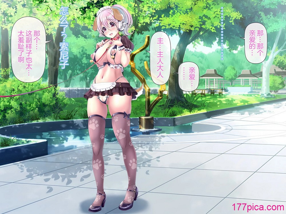 [MAG馆 (v-mag)] すーぱーそに娘 総集编追加エピソード「公园散歩编」 (すーぱーそに子) [中国翻訳][102P]-第1章-图片2