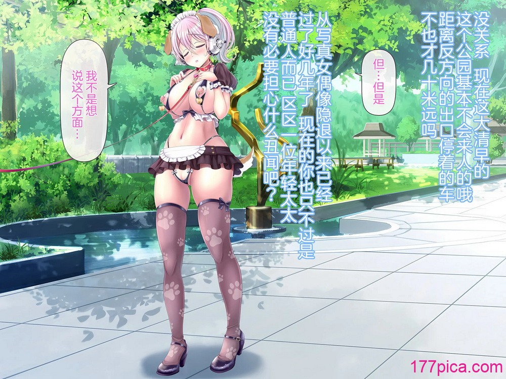 [MAG馆 (v-mag)] すーぱーそに娘 総集编追加エピソード「公园散歩编」 (すーぱーそに子) [中国翻訳][102P]-第1章-图片3