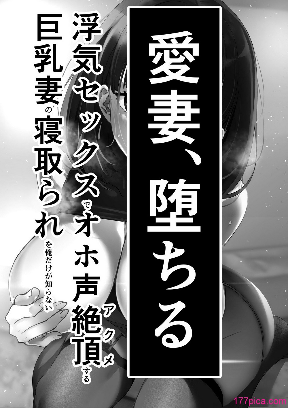 [さなづら同人誌発行所 (さなづらひろゆき)] 愛妻、堕ちる1~3 -浮気セックスでオホ声絶頂アクメする 巨乳妻の寝取られを俺だけが知らない-[中国翻訳][331P]-第1章-图片2