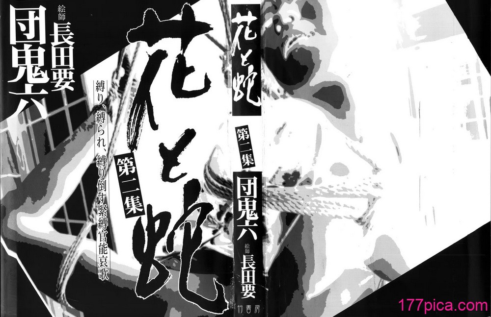 [長田要x団鬼六]花と蛇 第二集[大祭司汉化][295P]-第1章-图片3