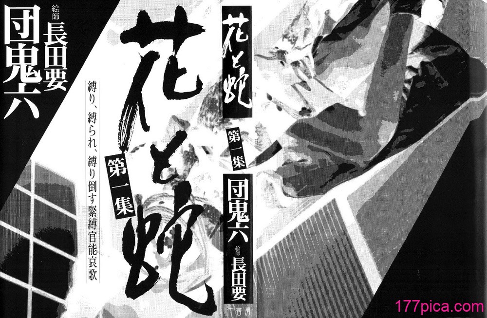 [長田要x団鬼六]花と蛇 第一集[大祭司汉化][295P]-第1章-图片3