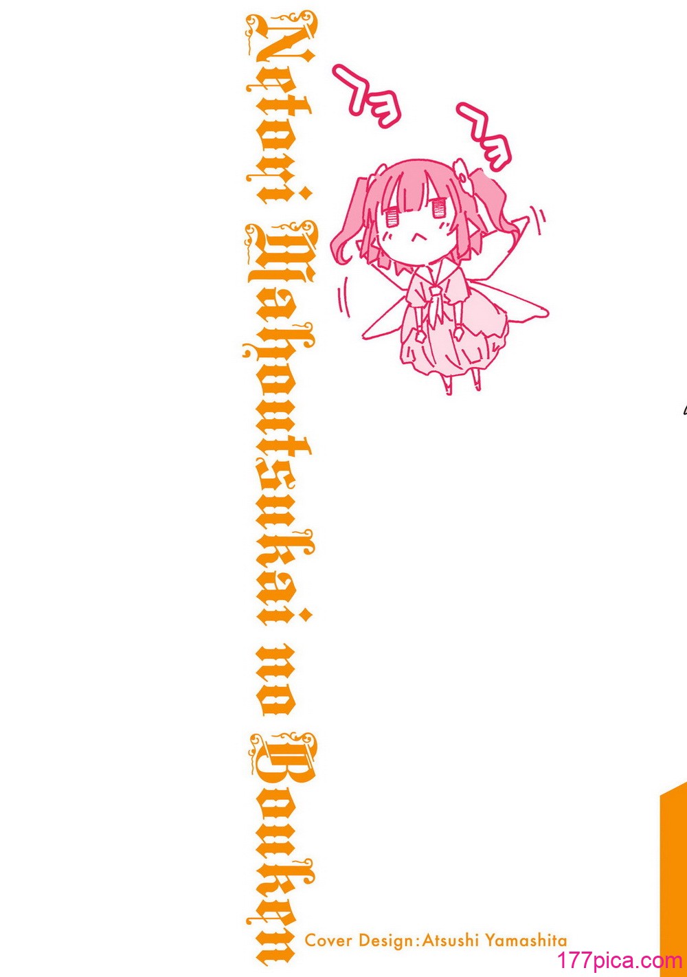 [糸杉柾宏×まじかり×まくわうに] 寝取り魔法使いの冒険 第05巻[166P]-第1章-图片2