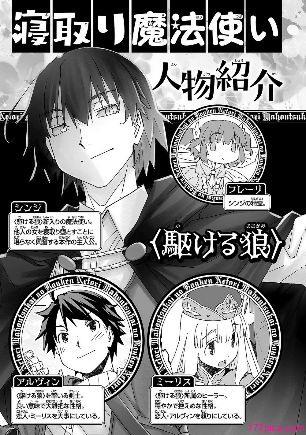 [糸杉柾宏×まじかり×まくわうに] 寝取り魔法使いの冒険 第05巻[166P]-第1章-图片5