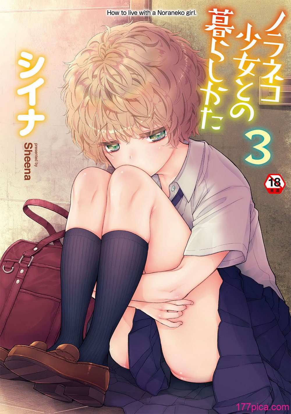 [シイナ] ノラネコ少女との暮らしかた 3 [DL版][230P]-第1章-图片1