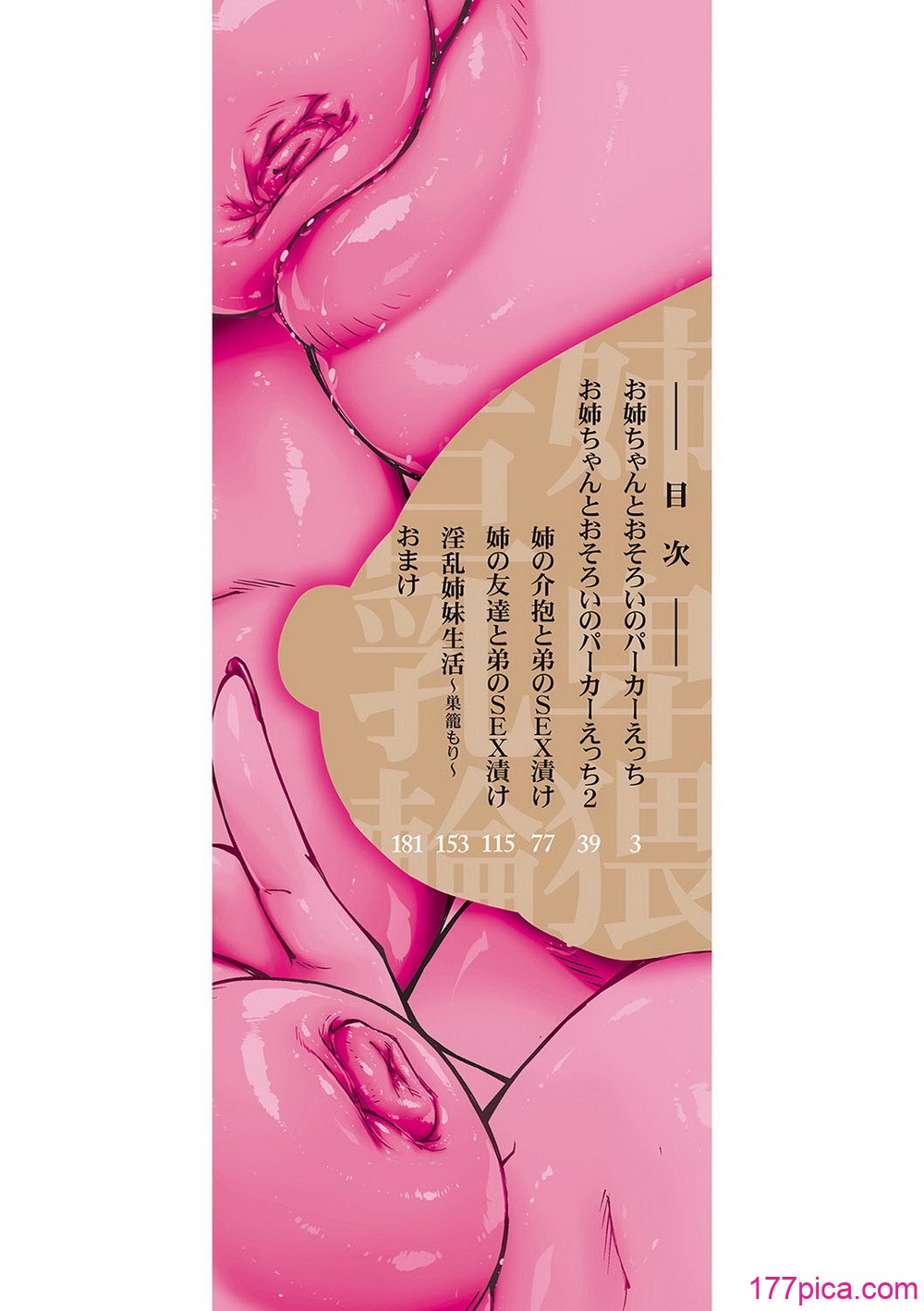 [青妬かげ] お姉ちゃんの卑猥な巨乳輪 [DL版][192P]-第1章-图片3