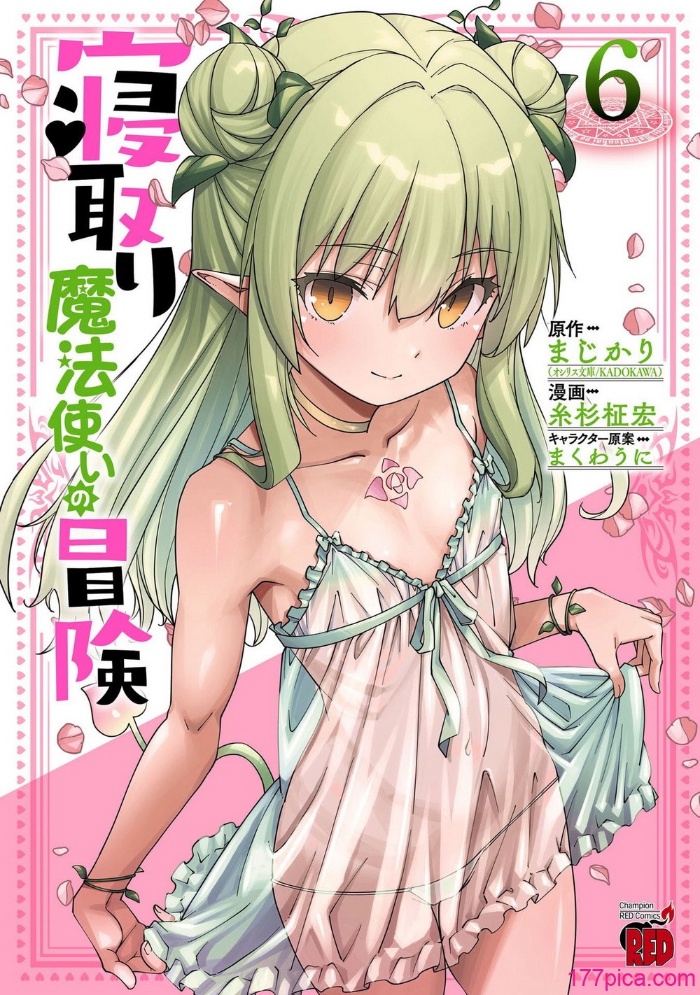 [糸杉柾宏×まじかり×まくわうに] 寝取り魔法使いの冒険 第06巻[166P]-第1章-图片1