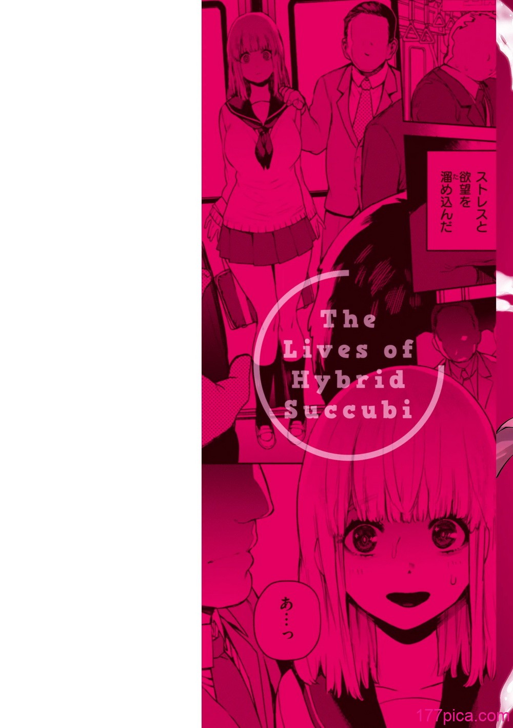 [ちゅーりっふ。] 混血サキュバスたちの日常 [DL版][167P]-第1章-图片2